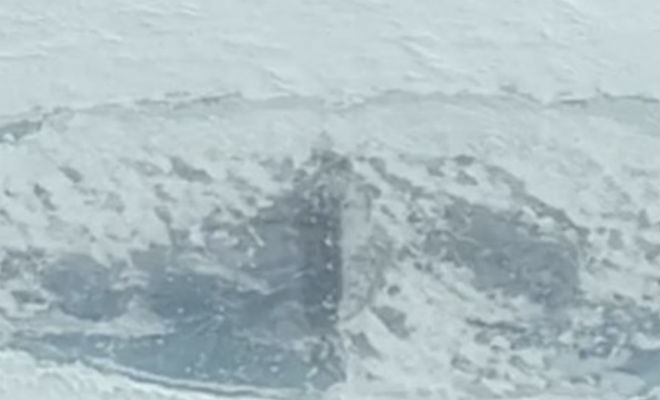 На спутниковых картах разглядели пропавшую подлодку Рейха: находка в Антарктиде Культура