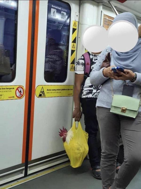 Чудаковатые пассажиры метро Чудаковатые пассажиры метро позитив,смешные картинки,юмор