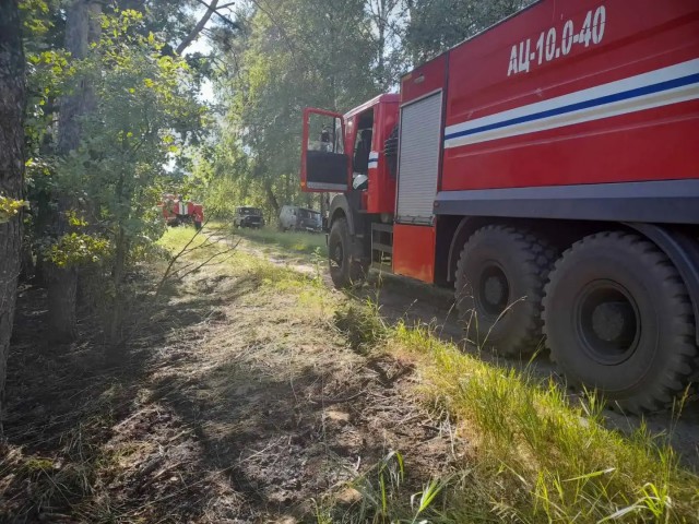 ´Вероятнее всего, кто-то бросил окурок´. С начала года в Бобруйском районе 6 лесных пожаров.