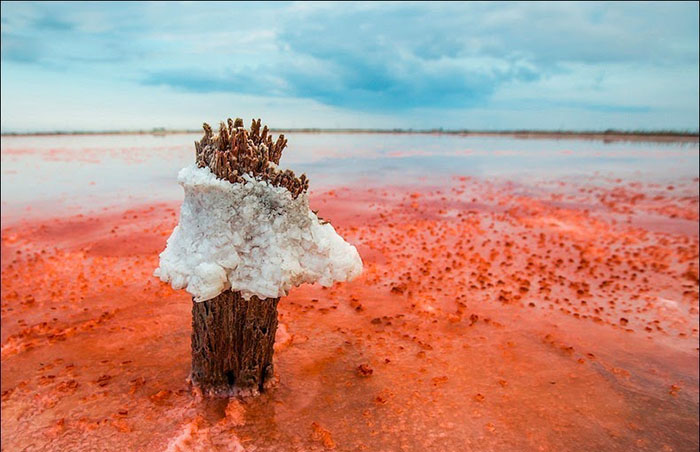 Великолепие крымского «гнилого моря» 25 фотографий озера Сиваш интересное