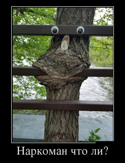 Забавные и веселые пятничные демотиваторы из нашей жизни Забавные и веселые пятничные демотиваторы из нашей жизни демотиваторы свежие,приколы,смешные демотиваторы,юмор