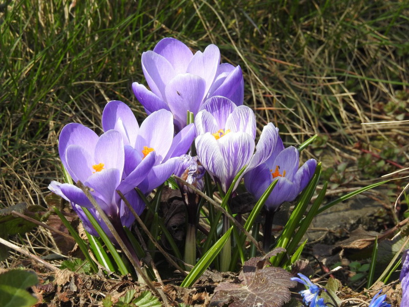 Подборка юмора, чтобы окунуться в мир веселья и позитива Подборка юмора, чтобы окунуться в мир веселья и позитива