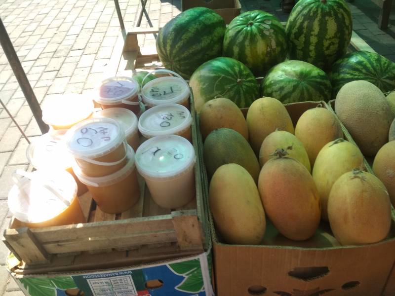 Записки Колорадского Таракана. А мы опять… заболели! Записки Колорадского Таракана. А мы опять… заболели! украина