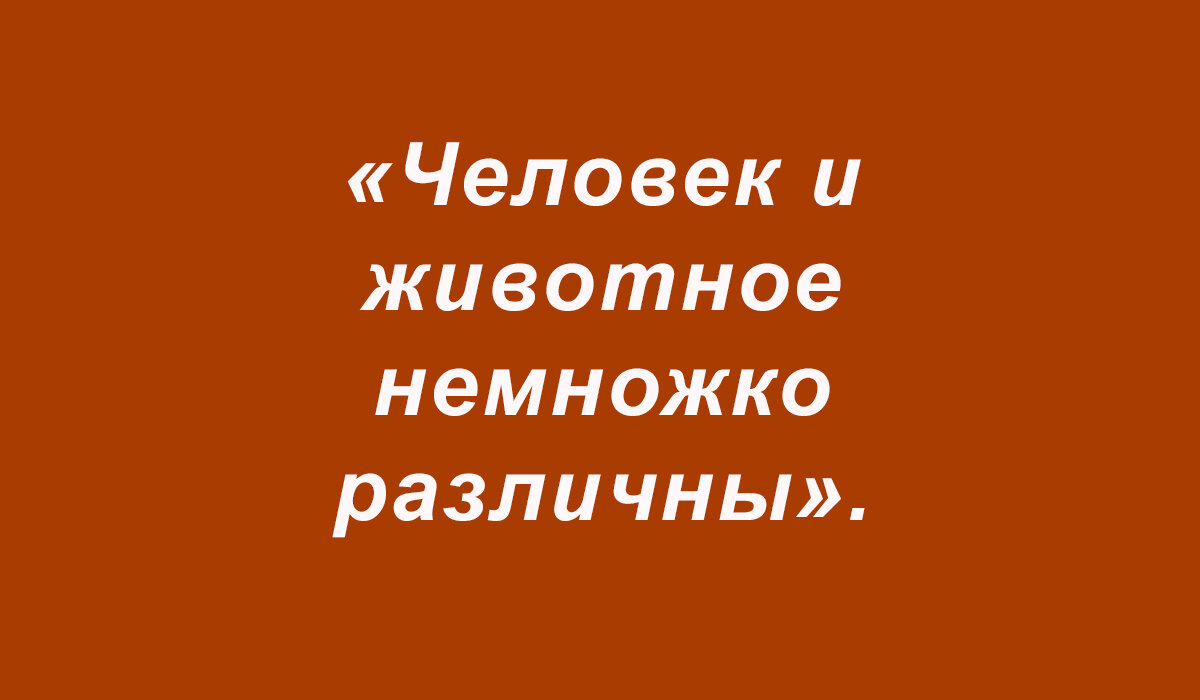 Перлы, перлы, перлы, перлы (подборка 10)