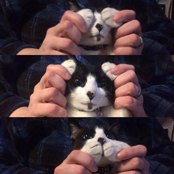 Подборка прикольных картинок  приколы,смешные картинки,юмор