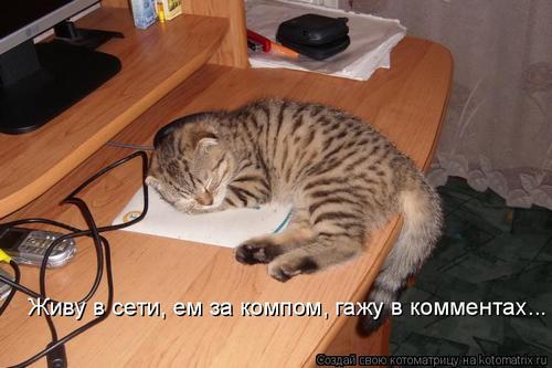 4743317_338418 (500x333, 29Kb)