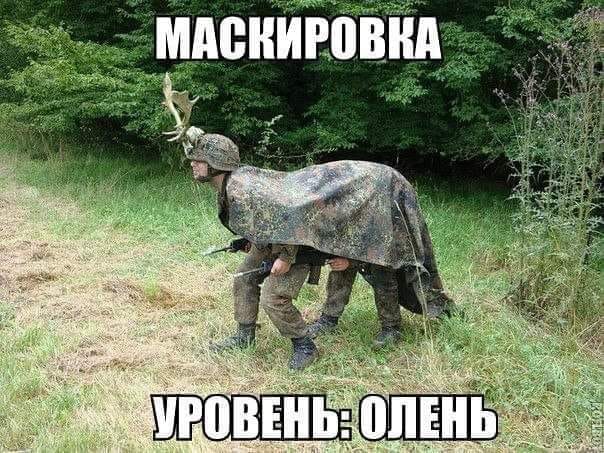 Забавности и шуточки в картинках, которые повеселят всех без исключения 