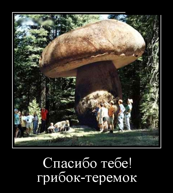 Демотиваторы на 23 октября 