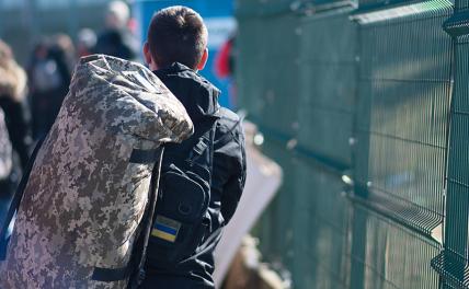 Десять украинских дивизий околачиваются в Европе под видом беженцев геополитика