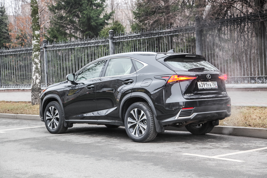 Тест-драйв: Lexus NX 200 Black Vision Lexus, Vision, Black, прошлый, спецверсии, более, версии, можно, больше, автомобилю, тестдрайв, интерьера, торжественный, Здесь, скорее, приходит, словосочетание, black, элегантный, весьма