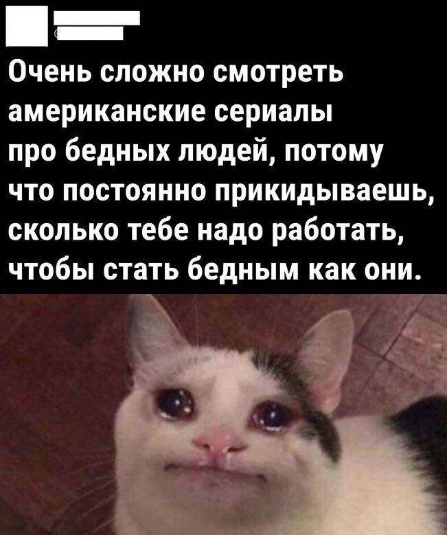Из-за идиотов всё труднее жить дуракам — смешные картинки с надписями Из-за идиотов всё труднее жить дуракам — смешные картинки с надписями