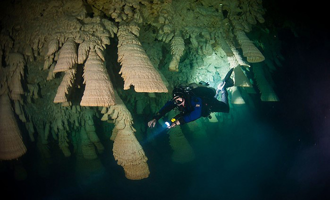 В подводной пещере в Мексике дайверы нашли висящие на потолке образования, похожие на огромные колокола. Видео пещеры, колокола», озеро, сталактиты, Сапоте, образований, пещер, «Адские, Неприметное, разрушился Ученые, частично, потом, стандартные, формировали, кристаллизации, После, известью, насыщенная, падала, сводов