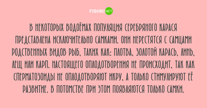 Любопытные факты, которые будут интересны людям с высоким IQ занимательные факты, факты