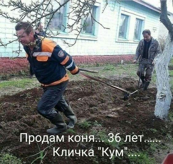 Самые лучшие прикольные до слез картинки