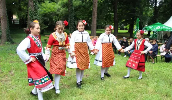 Все о Лазарице