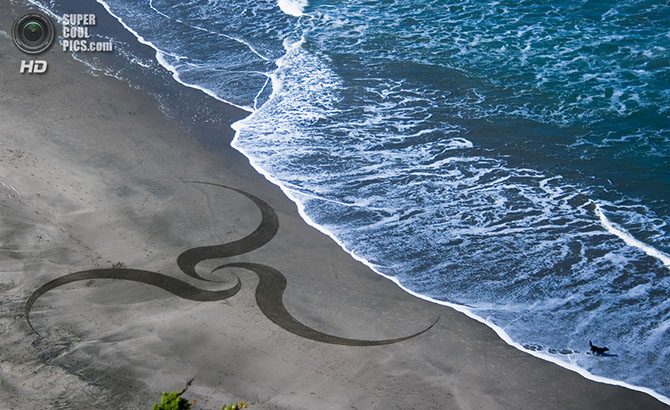 Ускользающая красота на пляжах Сан-Франциско 