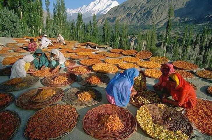 Hunza01