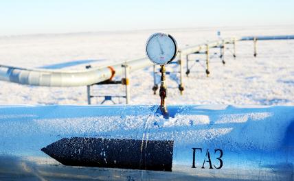 «Зеленые» устроят немцам ледниковый период