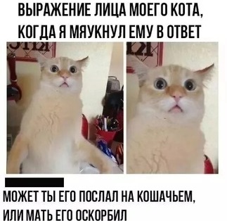 Мы едим кур либо до их рождения, либо после их смерти 