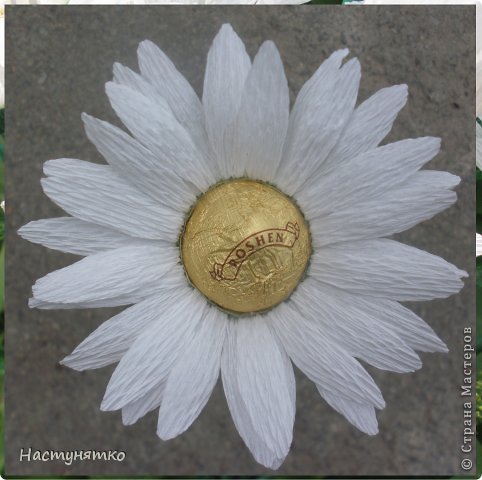 Мастер-класс Свит-дизайн Моделирование конструирование Ромашка МК Бумага гофрированная Клей Продукты пищевые фото 6
