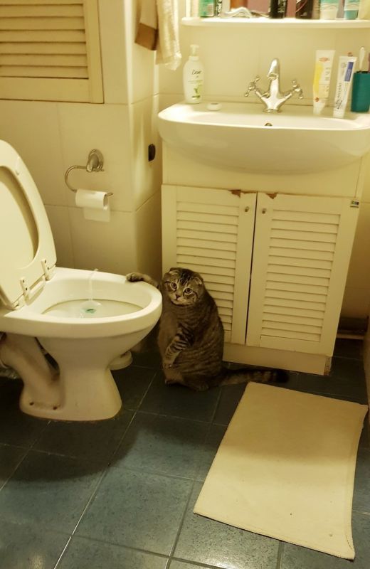 Фотоподборка вторника 27 ноября Фотоподборка вторника 27 ноября