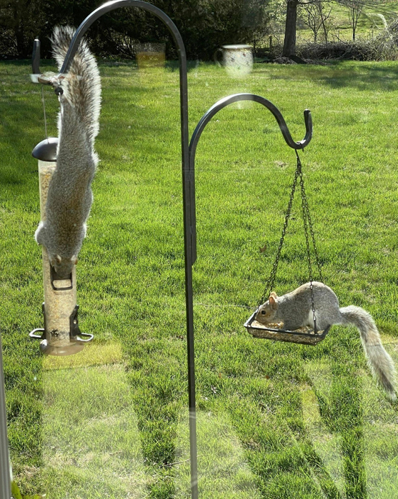 106798842_original (557x700, 583Kb)