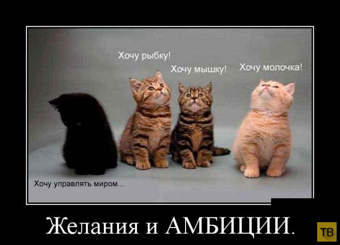 Выбирай желания правильно 