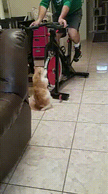 Анимированные приколюхи. Веселье на целый день! смешные картинки