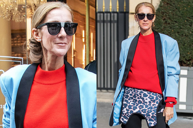 Водолазные костюмы, джинсы-варенки и улица Сезам: Селин Дион продолжает удивлять своими образами