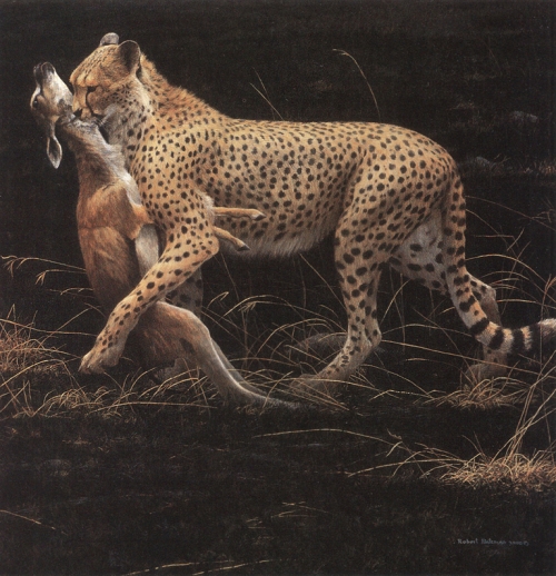 Художник Роберт Бейтман | Robert Bateman (363 работ)
