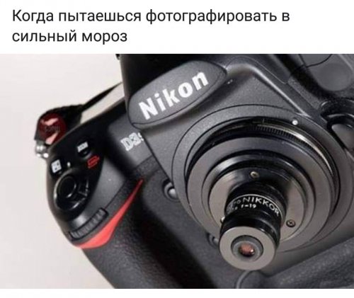 Такие прикольные картинки 2009/2019 Такие прикольные картинки 2009/2019 истории из жизни