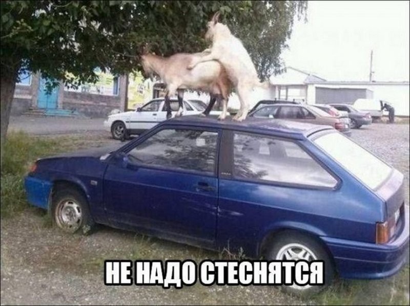 Сделано в России авто и мото