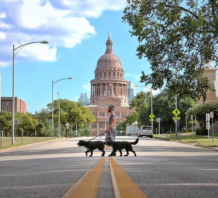 Travel-With-Two-Homeless-Dogs-Jordan-Kahana