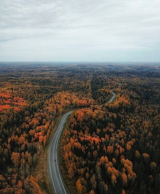 Очарование русской дороги 