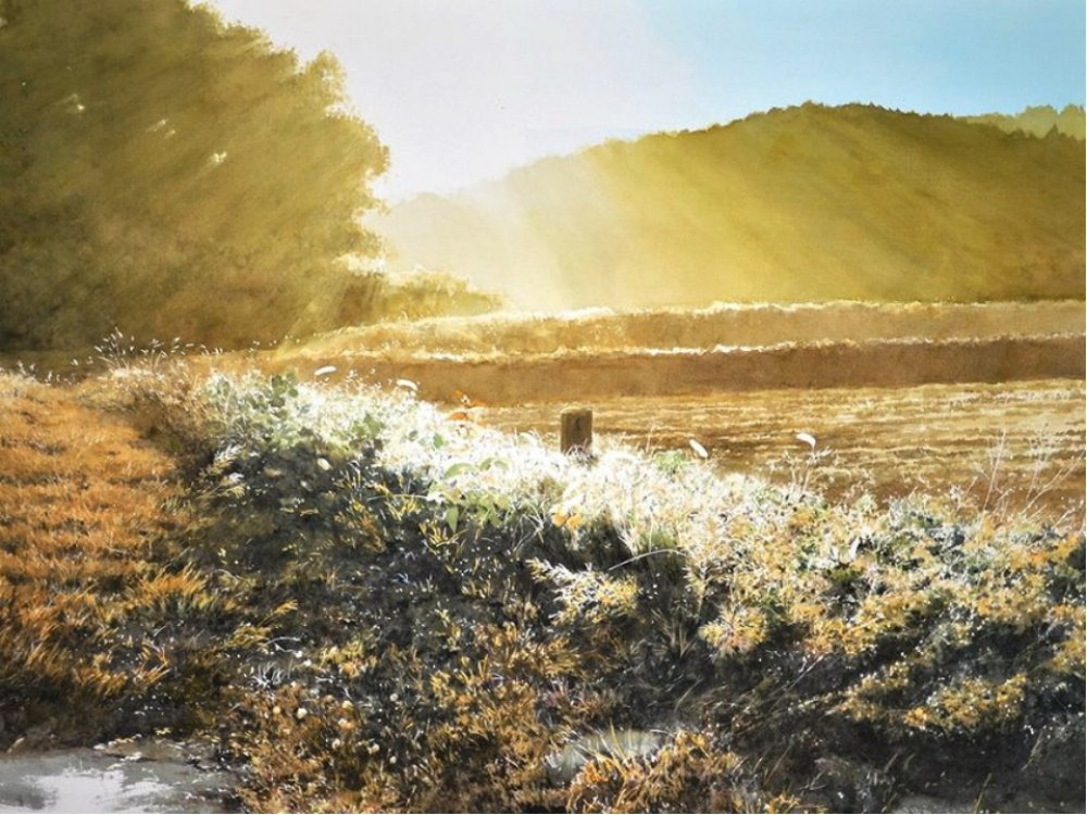 Картины, залитые теплом и светом. Художник Абе Тошиюки 