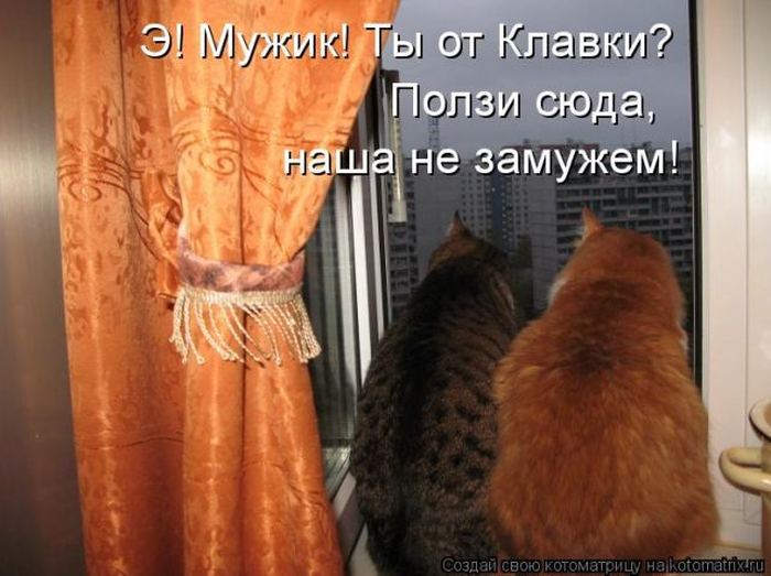 Мысли вслух :)