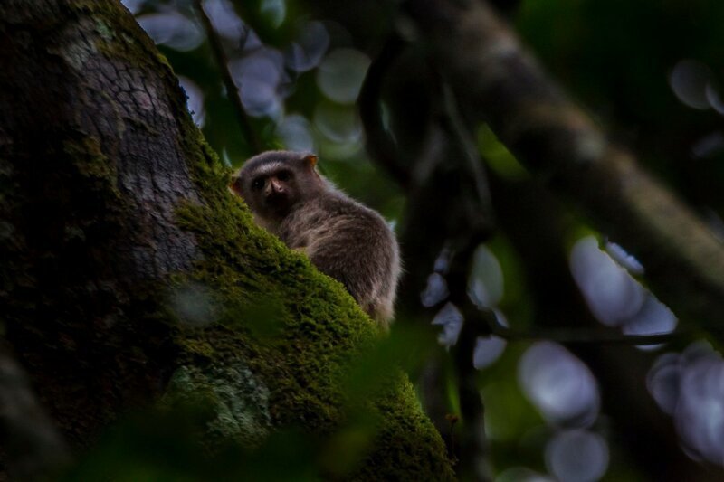 Эмоциональные фотографии для отличного настроения Эмоциональные фотографии для отличного настроения фотография