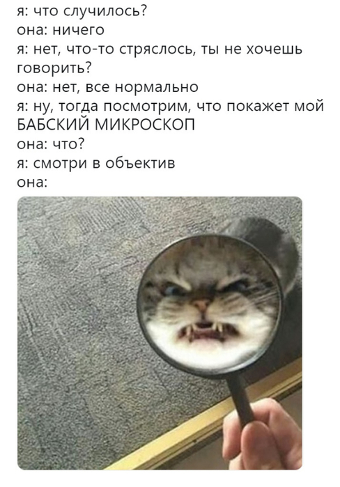 И жили они после свадьбы долго и счастливо. Только принц часто думал: "И зачем я тогда этого несчастного дракона ухайдокал? анекдоты,демотиваторы,приколы,юмор