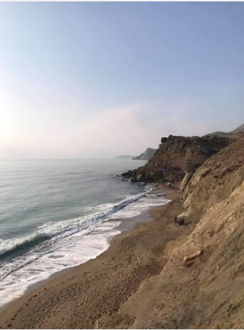 Говорите, 53% готовы валить? Я уже свалил общество,политика,россияне,эмиграция