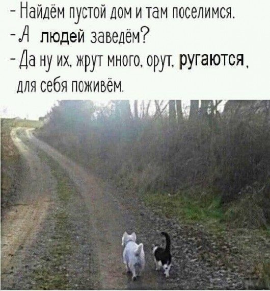 Улыбаемся шире!