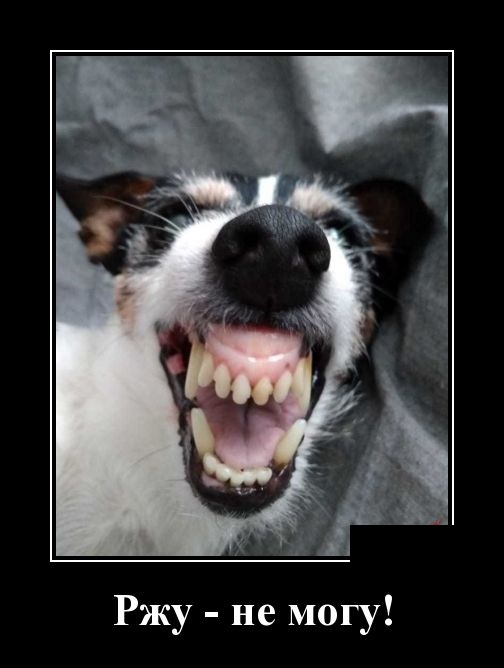 Самые новые демотиваторы Самые новые демотиваторы демотиваторы