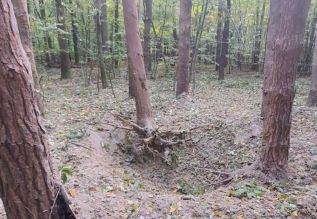 На Черниговщине мужчина подорвался на старом снаряде в лесу