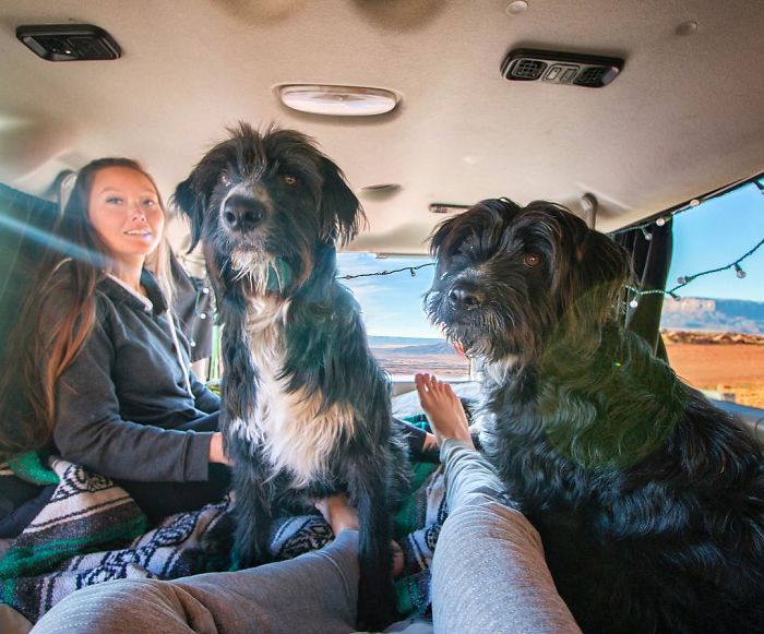 Travel-With-Two-Homeless-Dogs-Jordan-Kahana