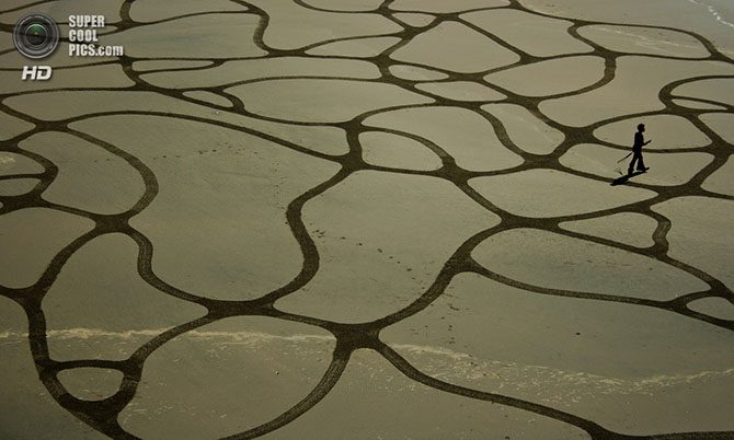 Ускользающая красота на пляжах Сан-Франциско 