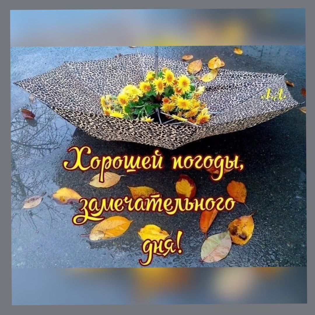 Долгожданный юмор: уморительная подборка