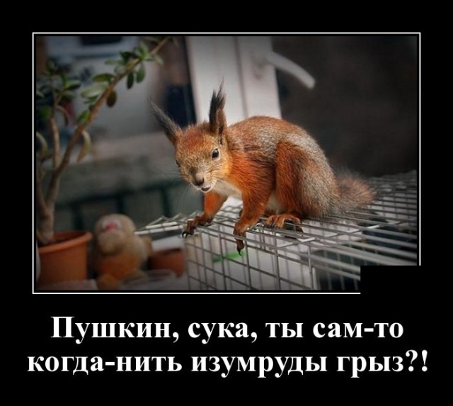 Самые новые демотиваторы Самые новые демотиваторы демотиваторы