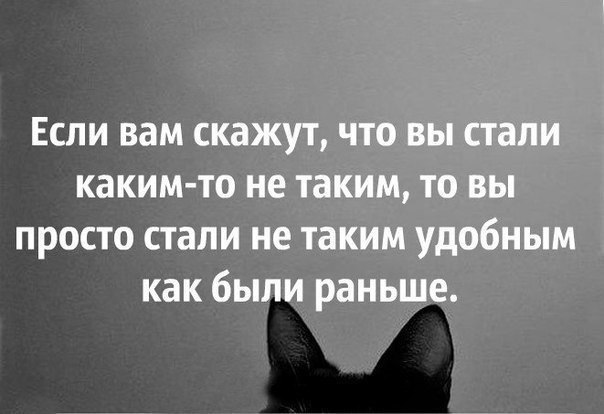 Классные и зачетные надписи к картинкам и фото приколам из нашей жизни картинки с надписями,красивые фотографии,прикольные картинки,смешные комментарии