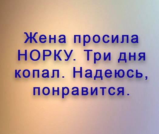 Охотник в лесу убил огромного лося. На выстрел поспешил егерь-охотовед... весёлые