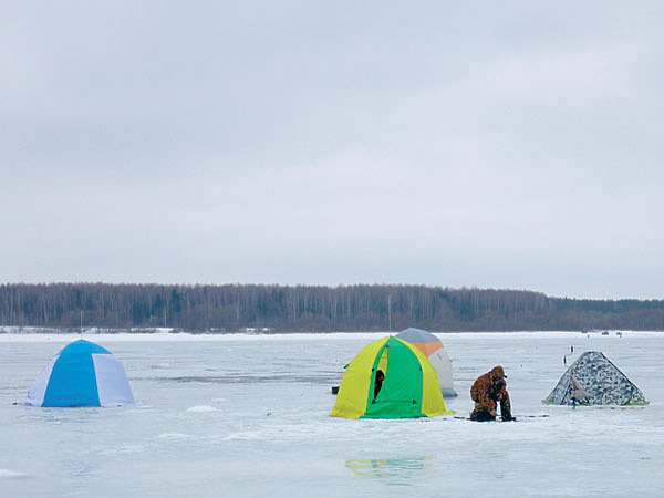 Хищники последнего льда: как наловить рыбы