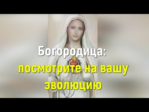 Богородица: посмотрите на вашу эволюцию